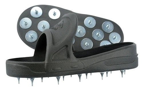 Naeltallad Shoe-In